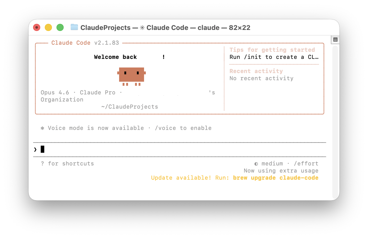ターミナルでClaude Code起動画面